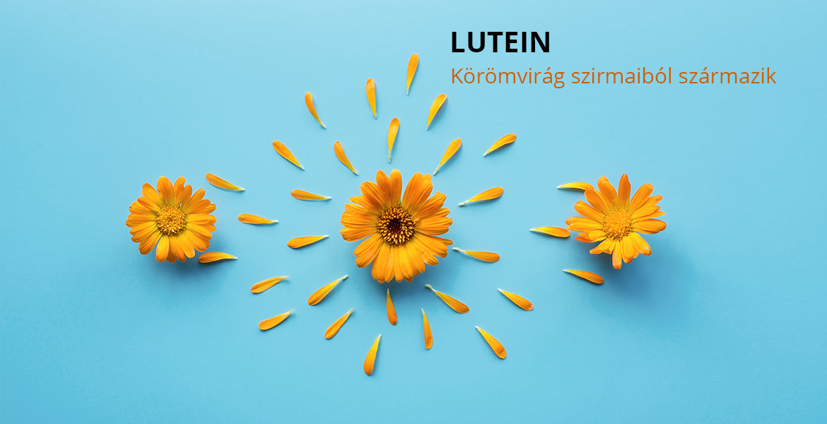 Lutein - Körömvirág szirmaiból származik.
