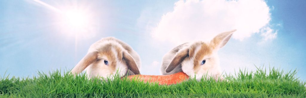 A+D-vitamin lágykapszula