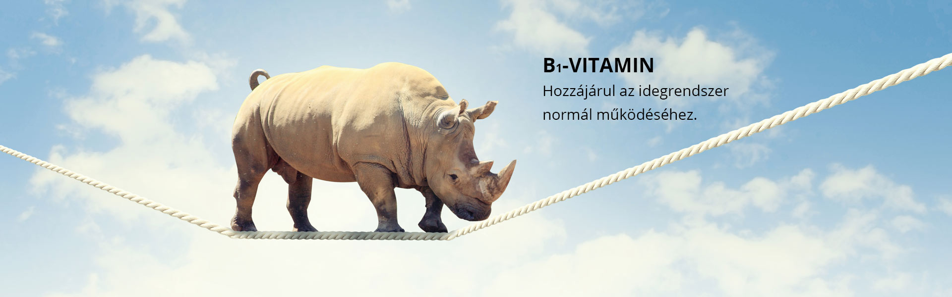 B1-vitamin - hozzájárul az idegrendszer normál működéséhez